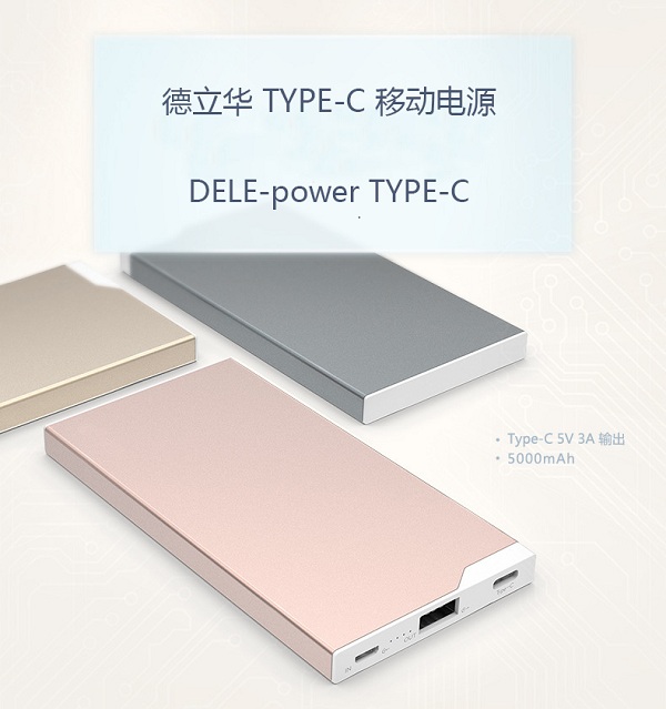 深圳創新投資集團定制一批德立華TYPE-C移動電源